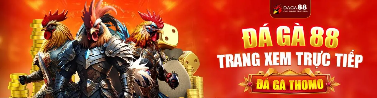 Sân đá gà chuyên nghiệp tại win55