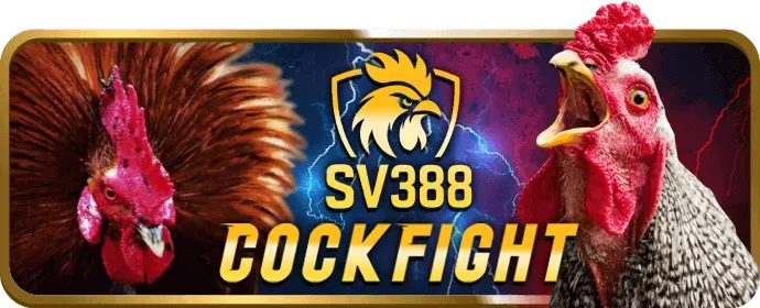 Tổng quan về trò chơi Slot win55